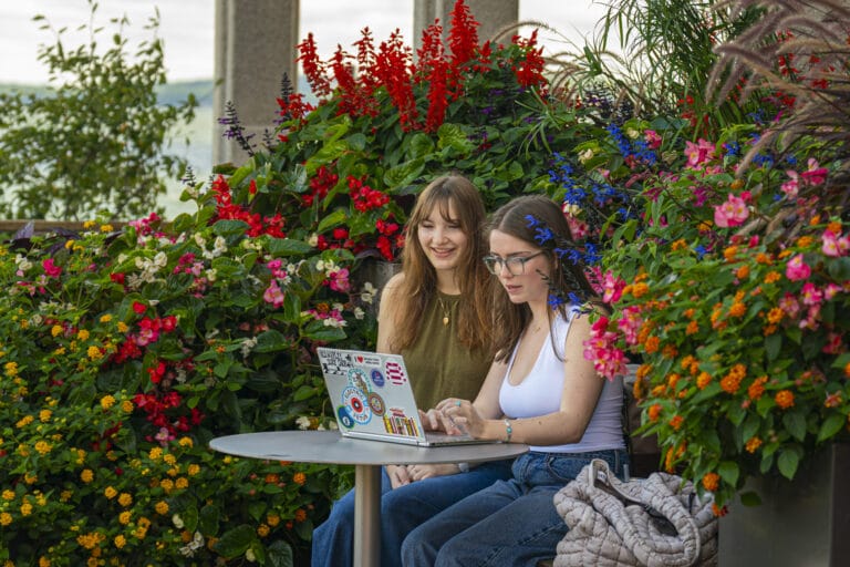 Two students working on their laptop