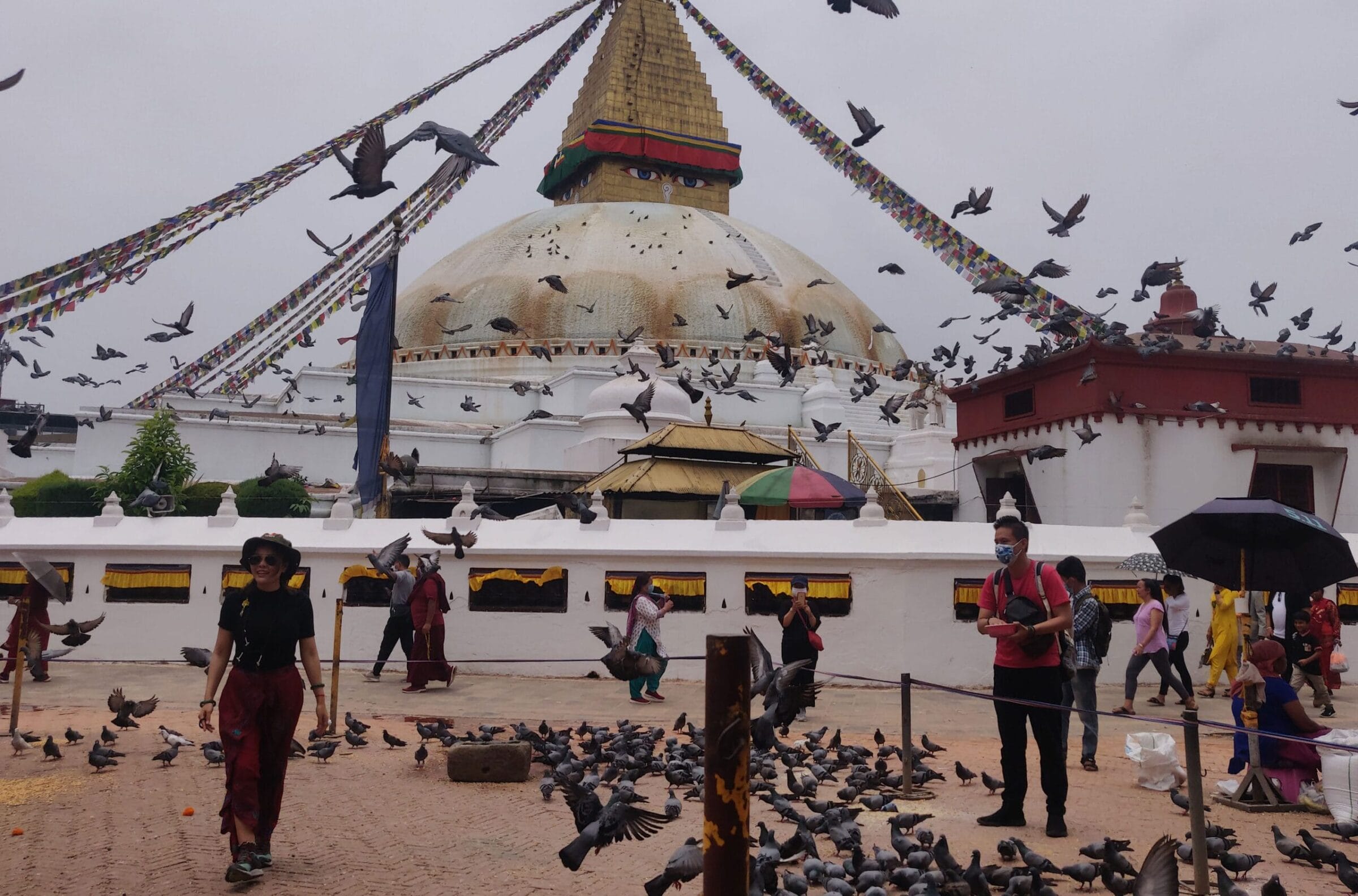 A flock of birds flying over a temple in Nepal