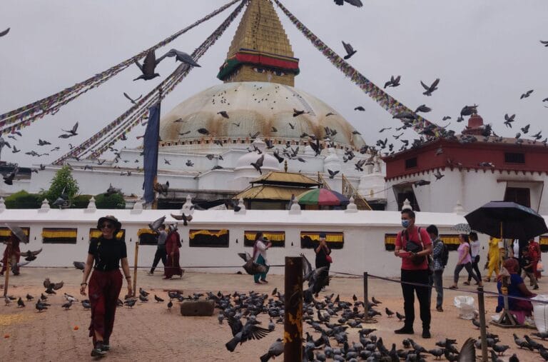 A flock of birds flying over a temple in Nepal