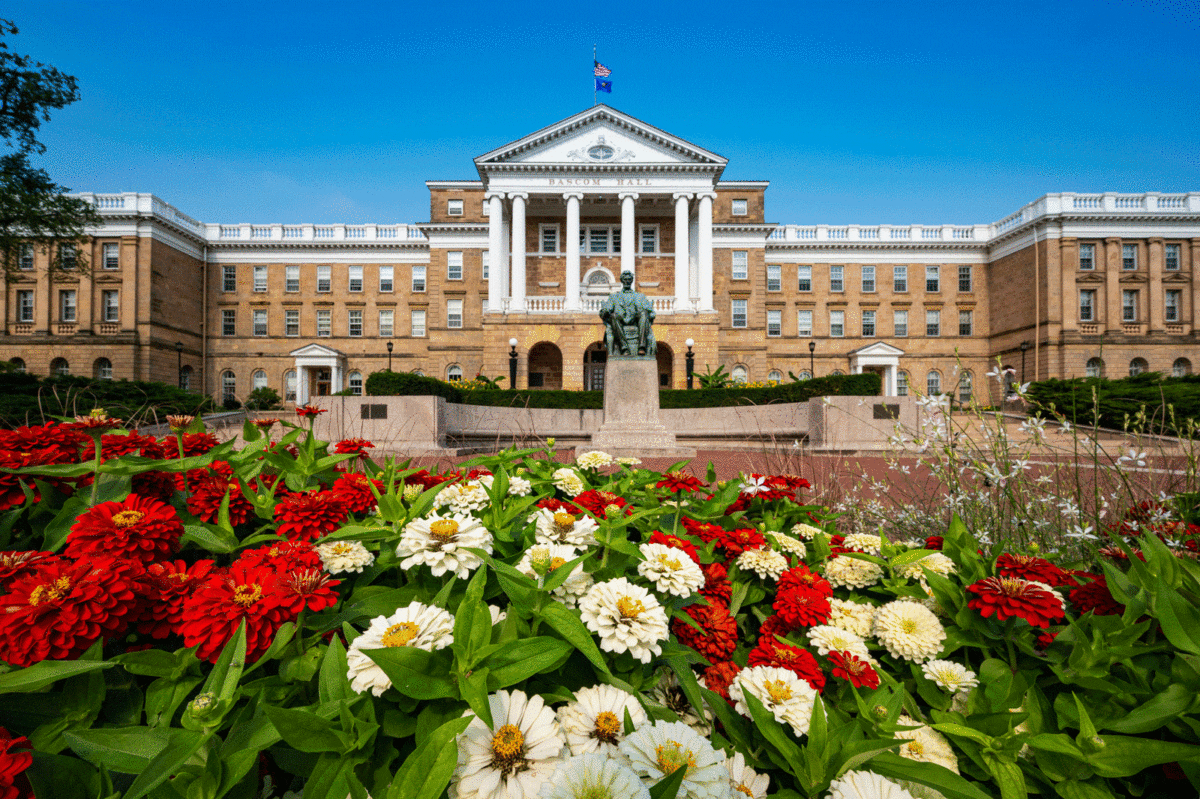 bascom hall framed by red and white zinnias in the foreground