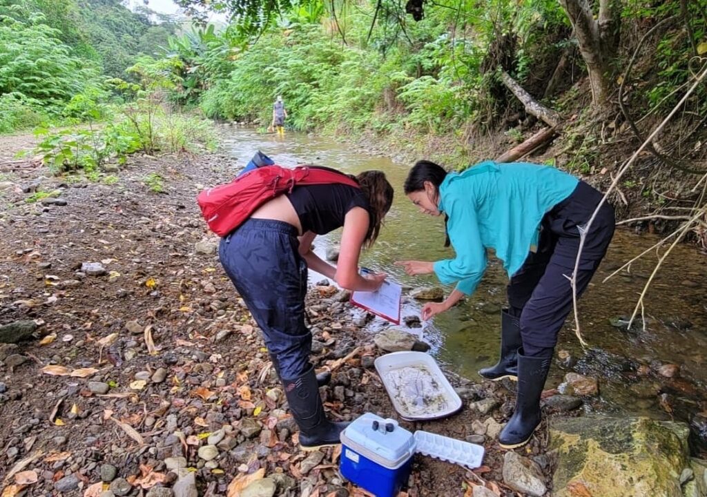 Students lean on scientific equipment near a stream