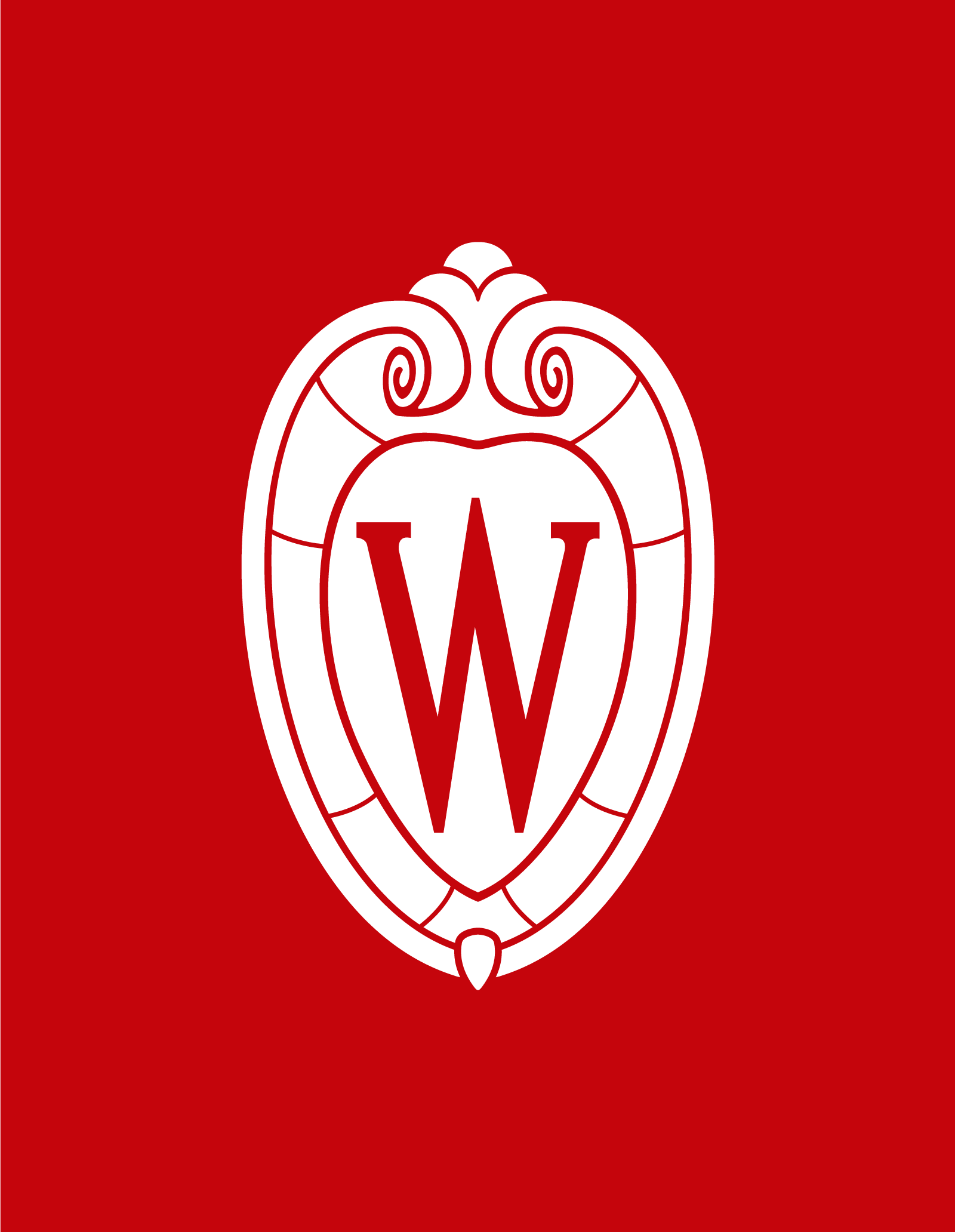 Summer Term at UW-Madison Logo